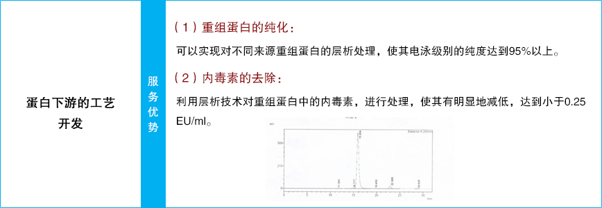 蛋白下游的工艺开发